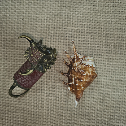 PS000006 - Natural Conch Brown