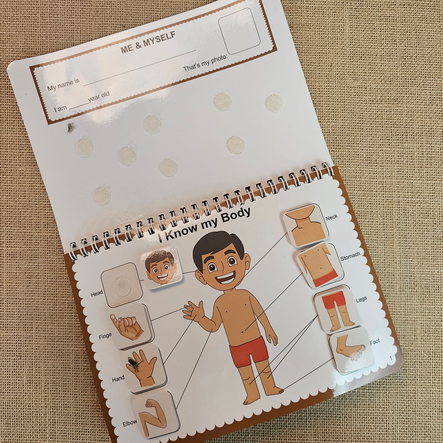 PFC000014 - Human Body Busy Binder