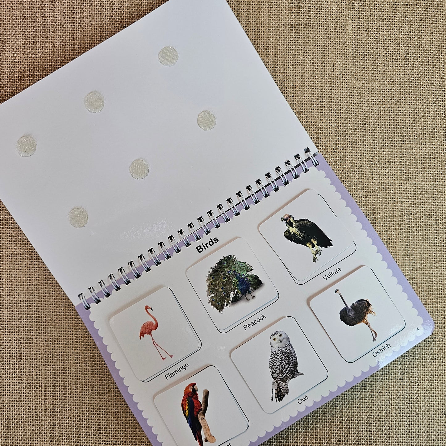 PFC000015 - Animals Busy Binder
