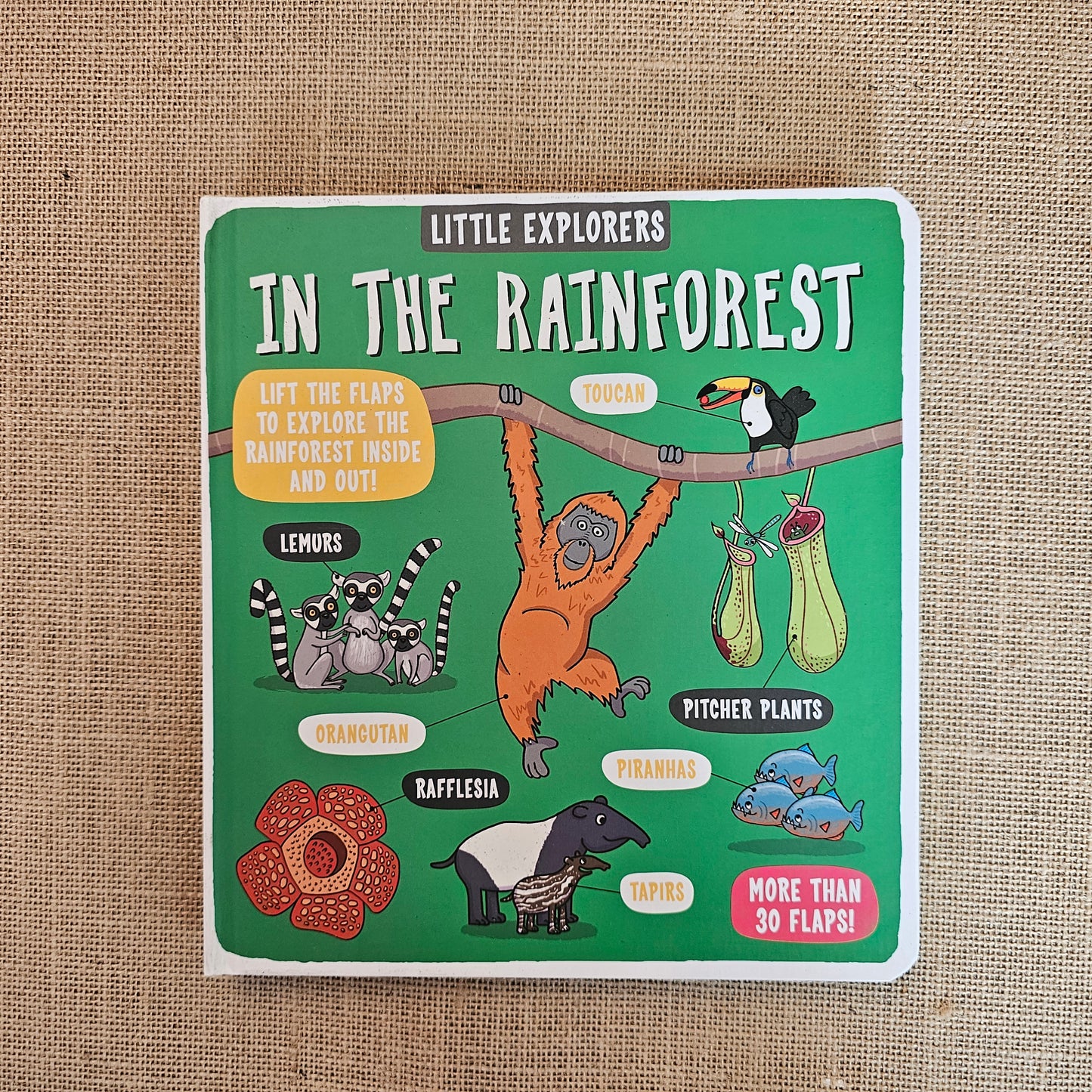 PLB000038 - In the Rainforest