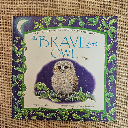 PLB000034 - The Brave Little Owl